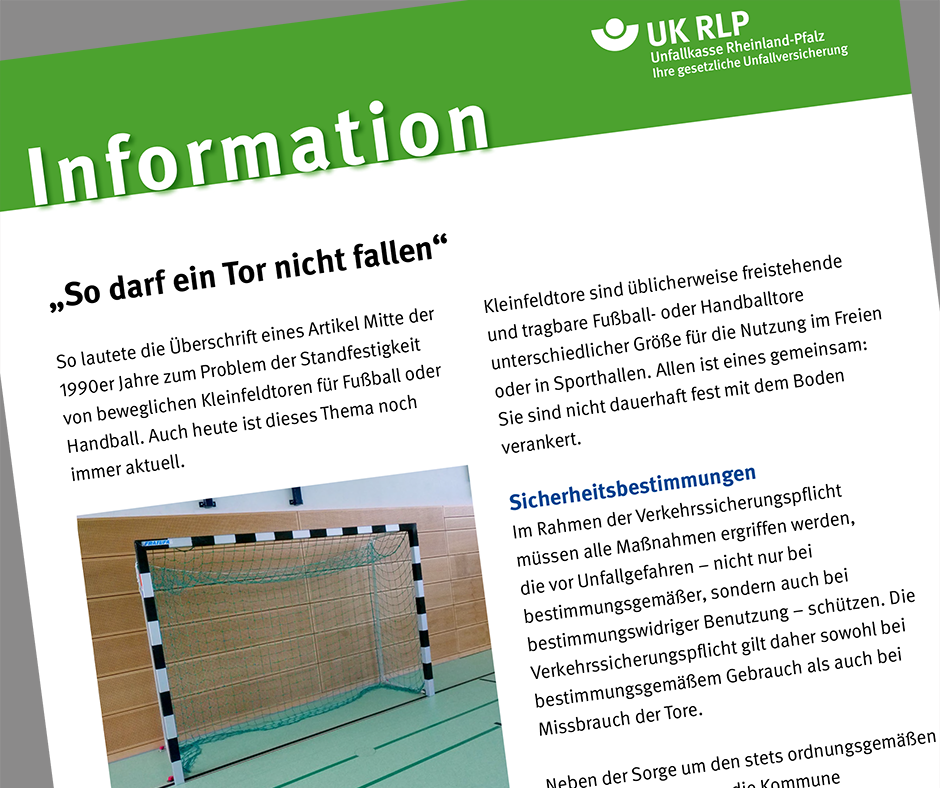Vorschaubild eines Informationsblattes, zu den Empfehlungen und Verwaltungsvorschriften.